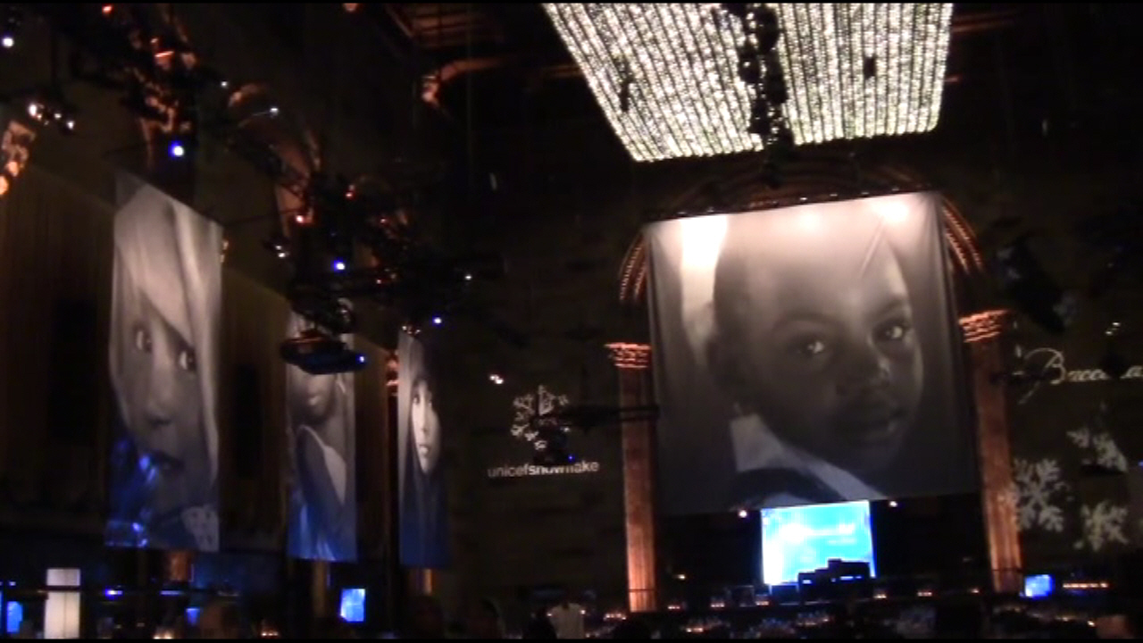 2011 Snowflake Ball - UNICEF